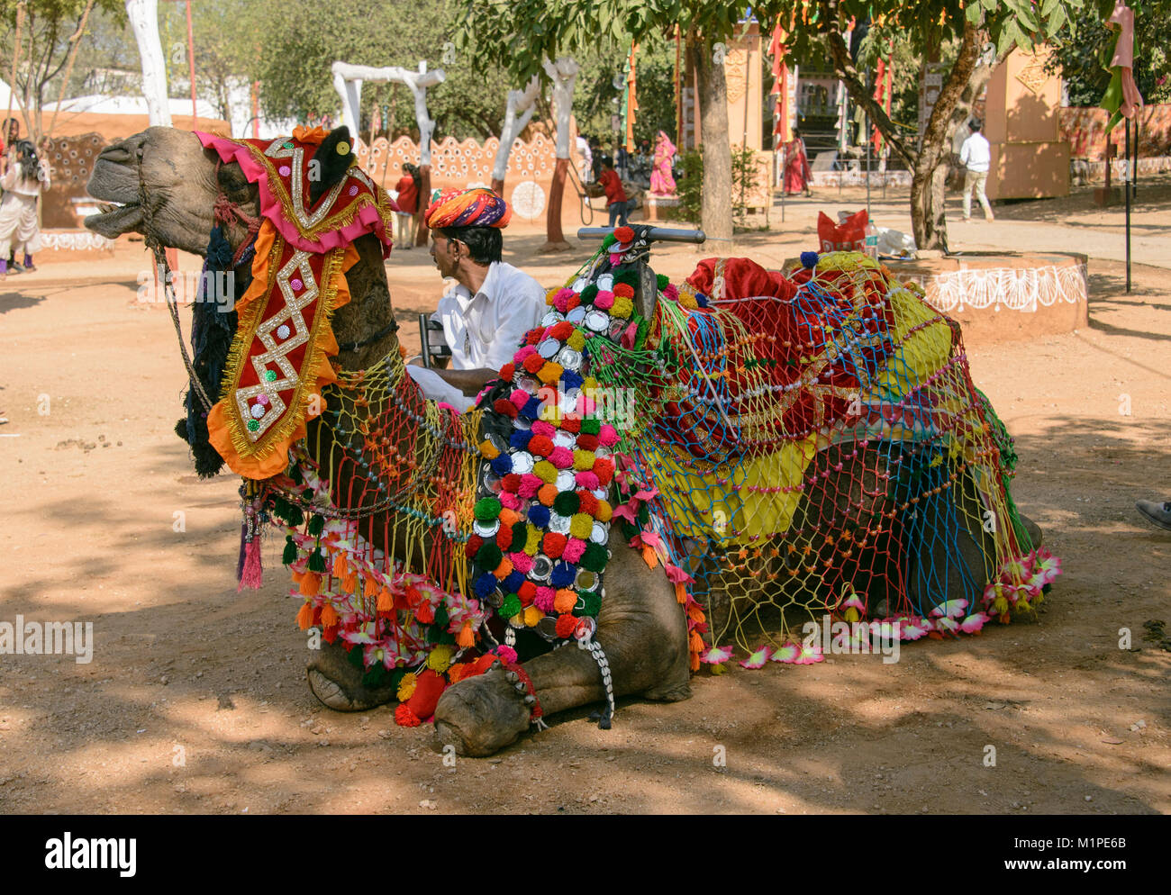 Decorate il camel in Udaipur, Rajasthan, India Foto Stock