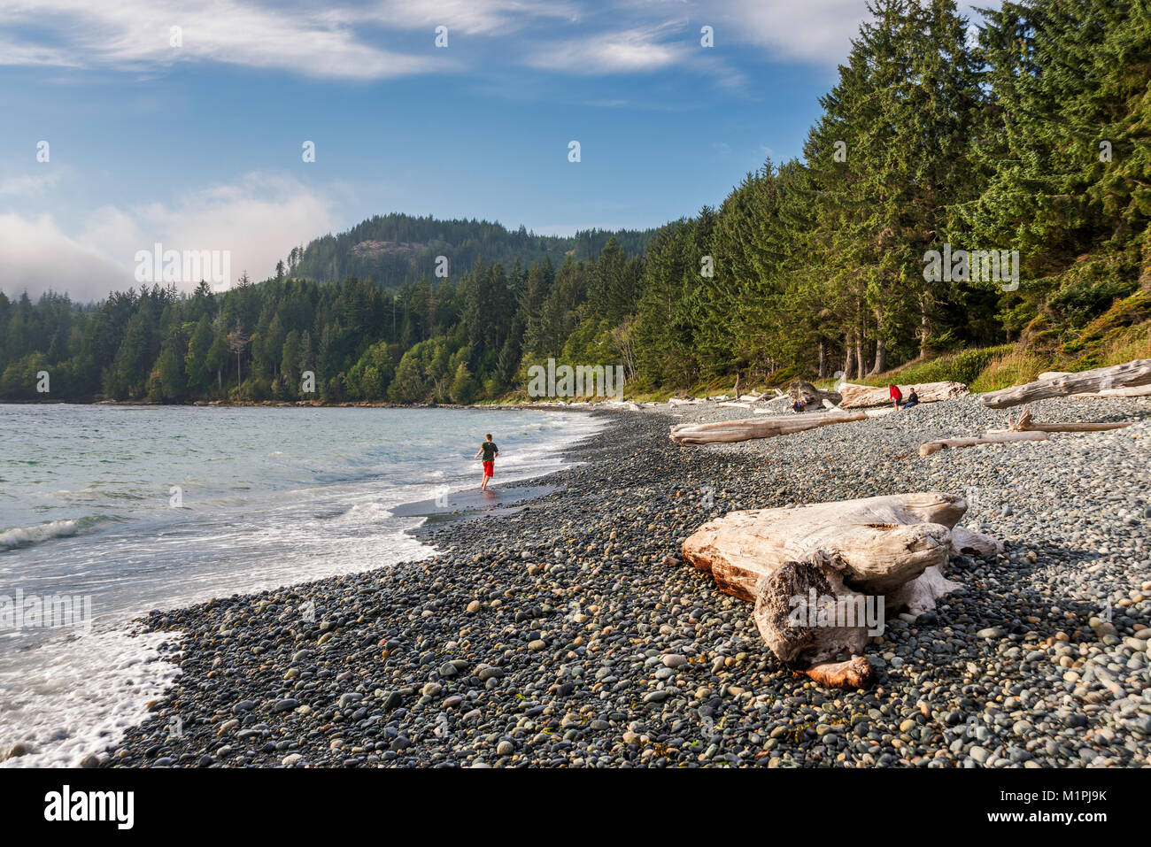 Driftwood, giovane ragazzo in esecuzione sulla spiaggia di ciottoli, nebbia a laminazione, litorale pacifico, Francese Spiaggia Parco Provinciale, sud della isola di Vancouver, BC, Canada Foto Stock