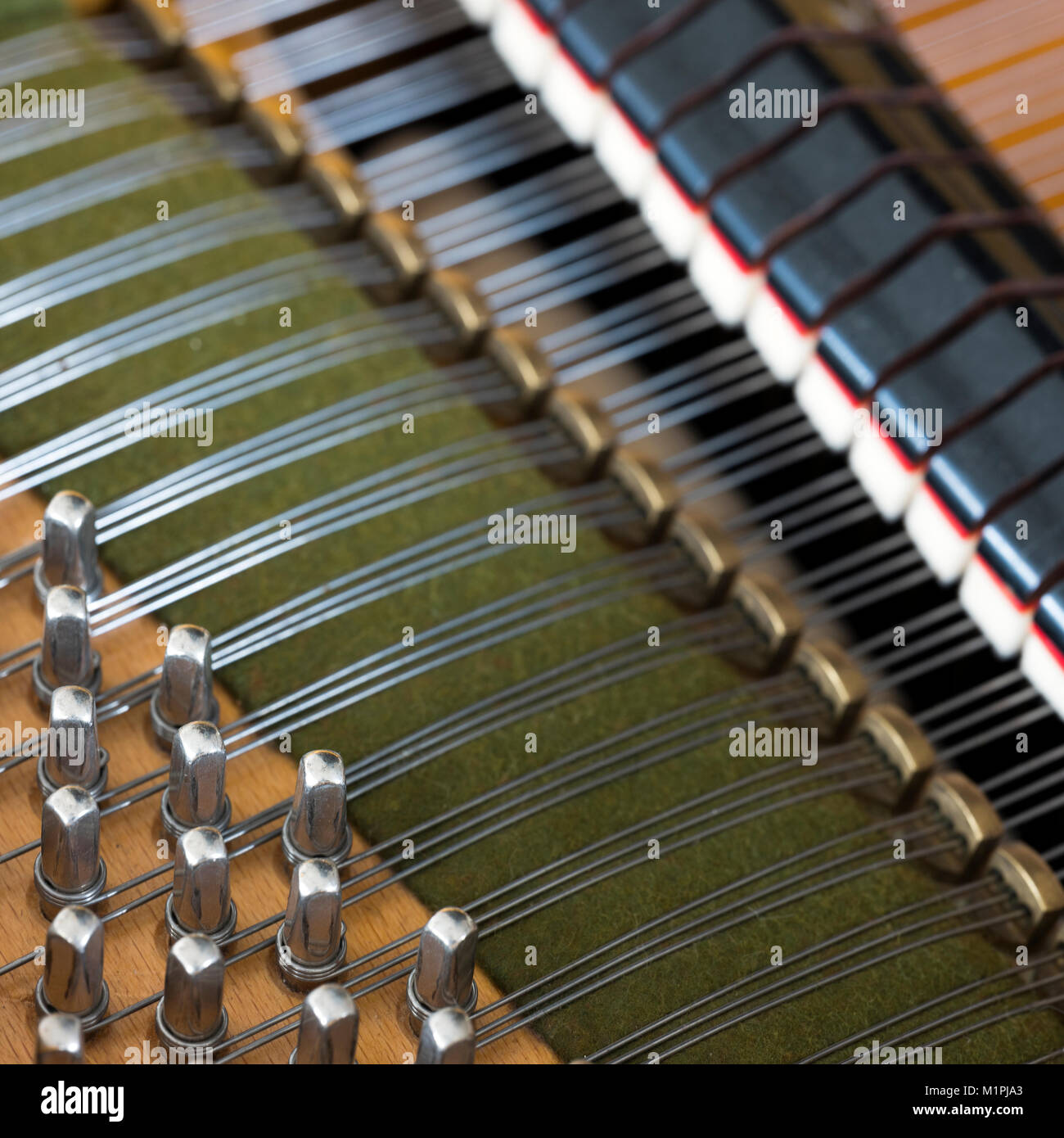 Primo piano delle insidie perni e disattiva all'interno di vecchi bechstein pianoforte Foto Stock