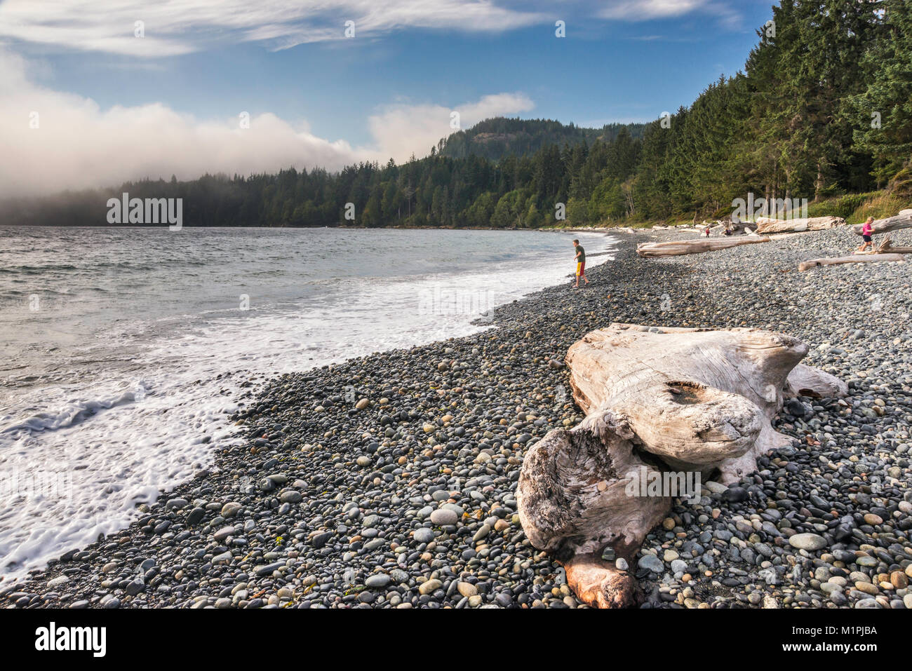 Driftwood sulla Pacific spiaggia ghiaiosa, persone in distanza, nebbia a laminazione, Francese Spiaggia Parco Provinciale, sud della isola di Vancouver, BC, Canada Foto Stock