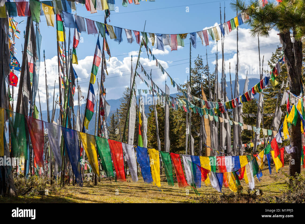 Bumthang, Bhutan. Bandiere di preghiera a Kikila Pass, vicino Jakar. Foto Stock