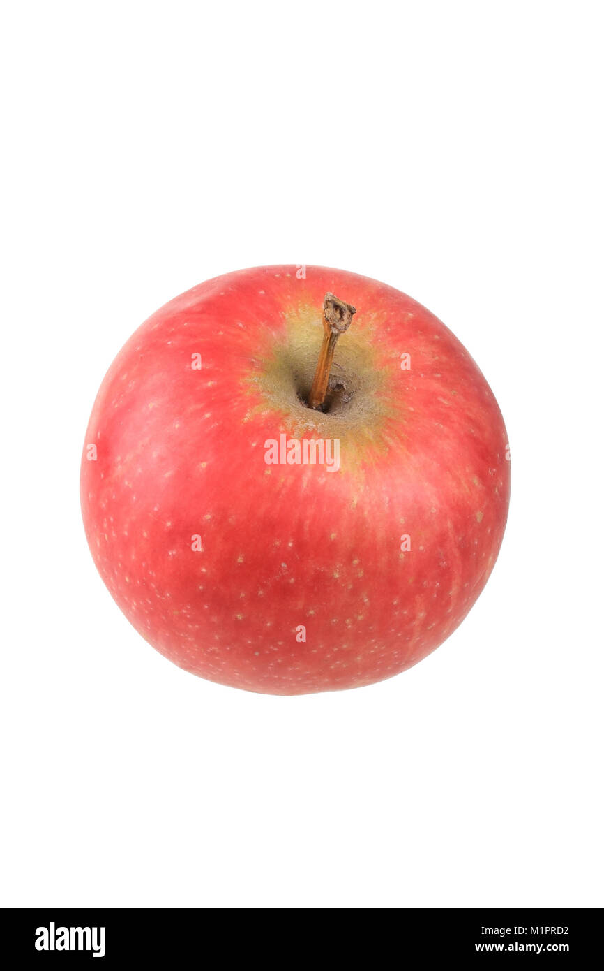 Core frutta, siti apple, Summerred, piastre di libero, Kernobst, Apfelsorte, Freisteller Foto Stock