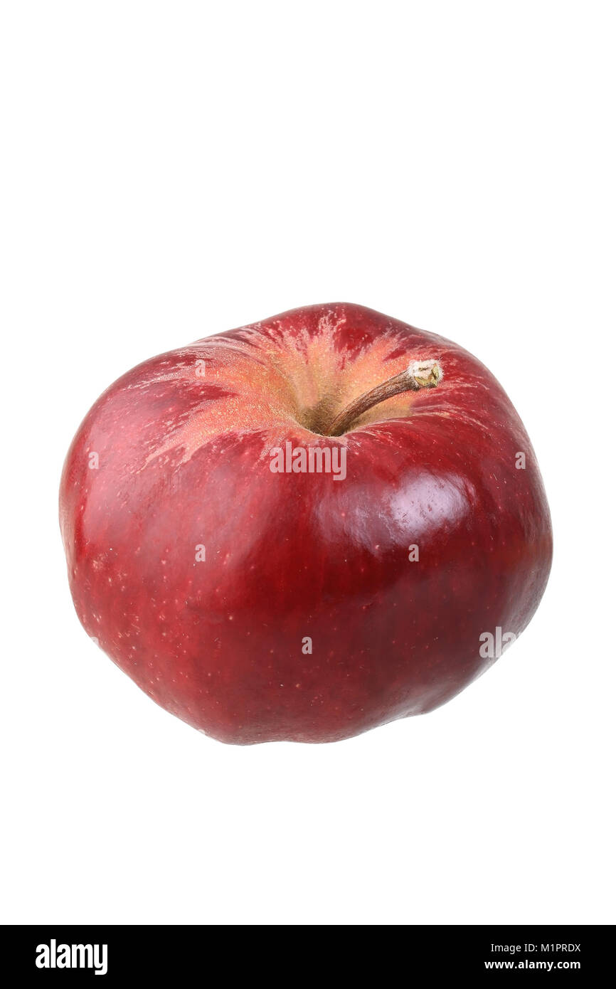 Frutta a semi, Apple, Rosso Herbstkalvill, piastre di libero, Kernobst, Apfelsorte, Roter Herbstkalvill, Freisteller Foto Stock