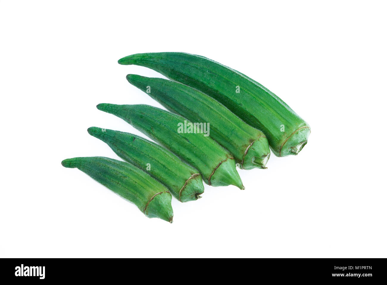 Disposti più piccolo al più grande okra o lady dito isolato in uno sfondo bianco Foto Stock