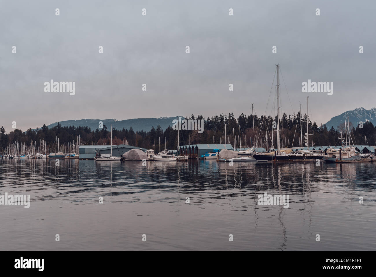 Vancouver, British Columbia, Canada - 24 dicembre 2017: lungomare nel centro cittadino con le barche che riflette nell'acqua. Foto Stock