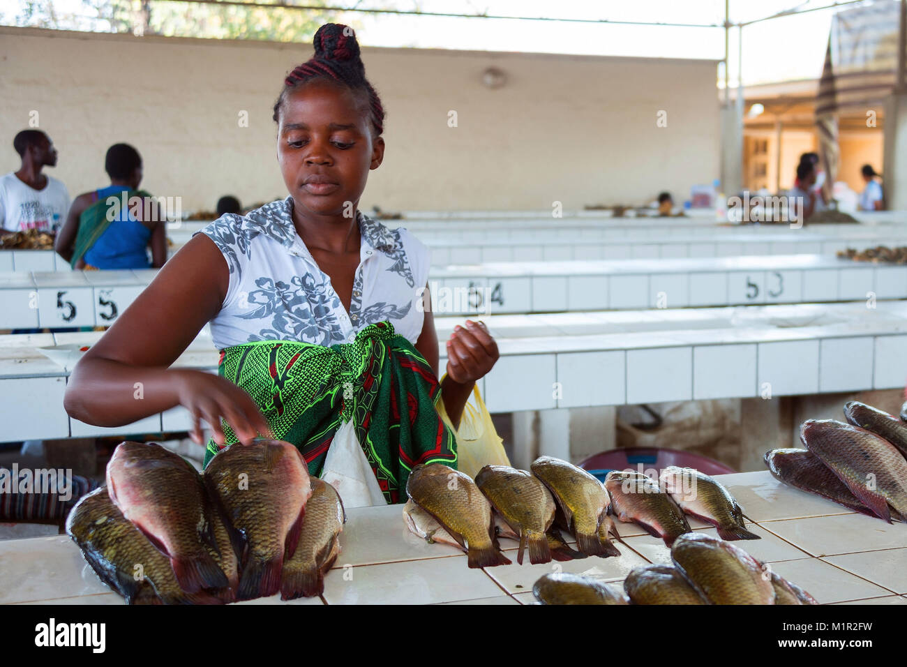 Mercato del Pesce, Katima Mulilo, Caprivi, Namibia, Fischmarkt Foto Stock