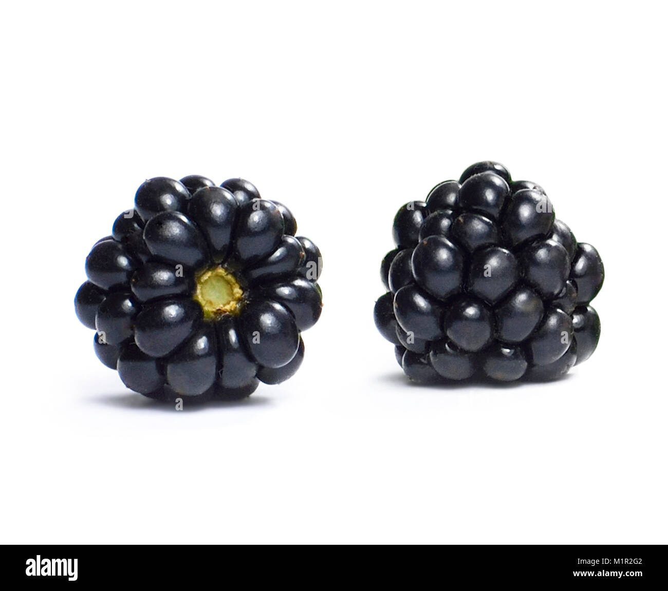 Blackberry bellissimi frutti, isolati su sfondo bianco. More, lucido e freschi frutti di bosco, studio shot. Foto Stock