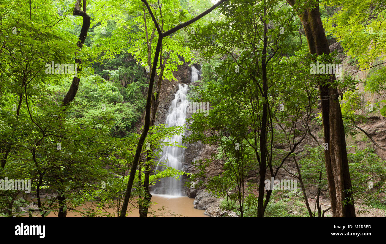 Montezuma cascata in Costa Rica Foto Stock