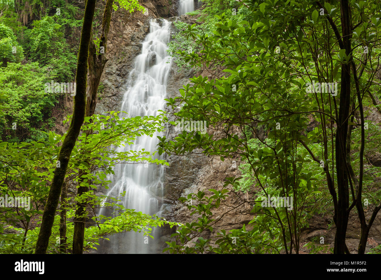 Montezuma cascata in Costa Rica Foto Stock