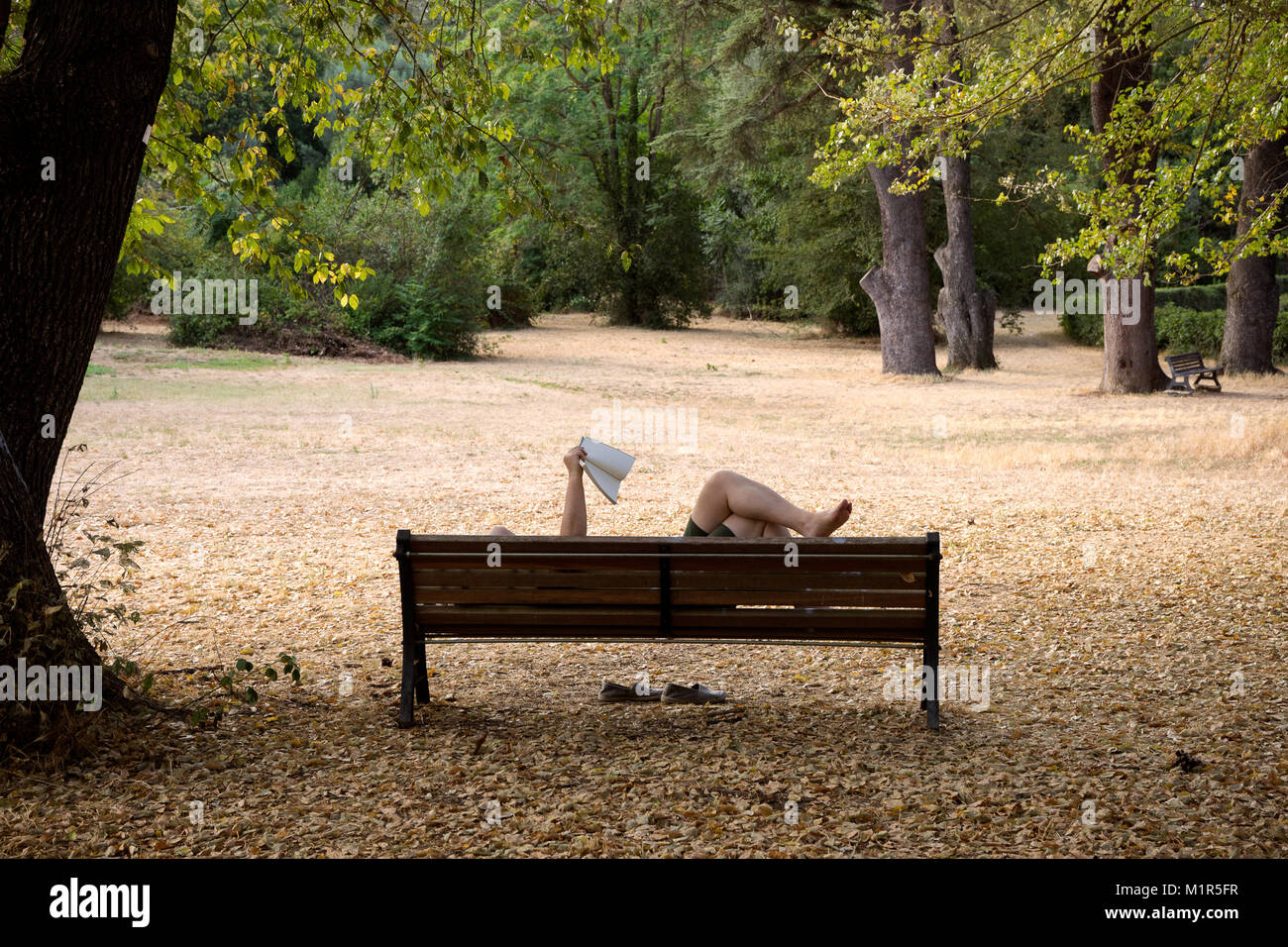 Roma, italia: Un uomo sta leggendo un libro sdraiato su una panchina in un parco di Roma Foto Stock