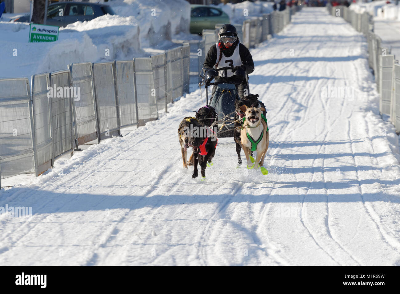 L'Epiphanie, Canada 1/28/2018 . Internazionale di corsa di cani da slitta di Lanaudiere, Foto Stock