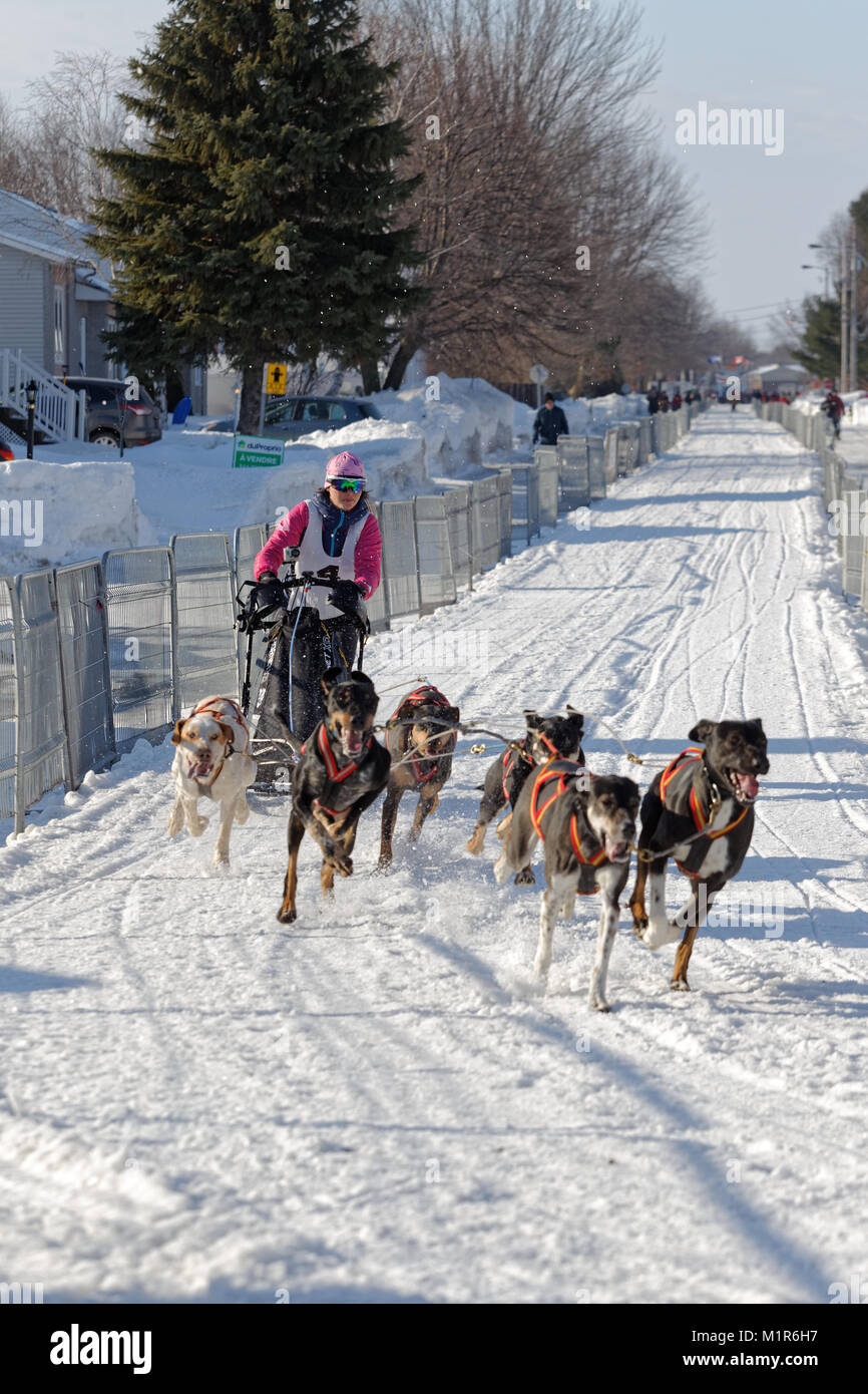 L'Epiphanie, Canada 1/28/2018 . Internazionale di corsa di cani da slitta di Lanaudiere, Foto Stock