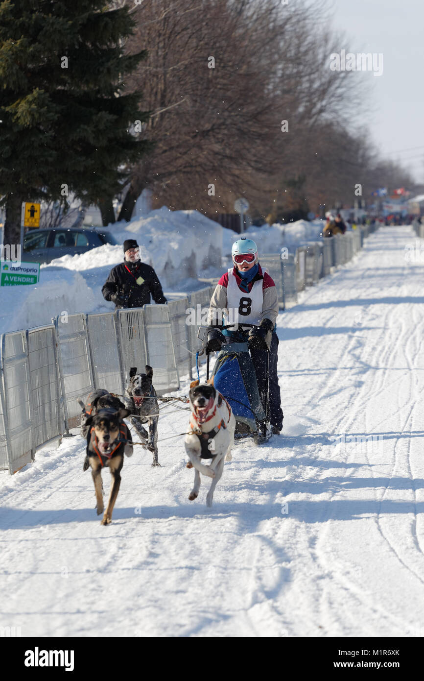 L'Epiphanie, Canada 1/28/2018 . Angie Carter del New Hampshire USA compete in internazionale di corsa di cani da slitta di Lanaudiere, Foto Stock