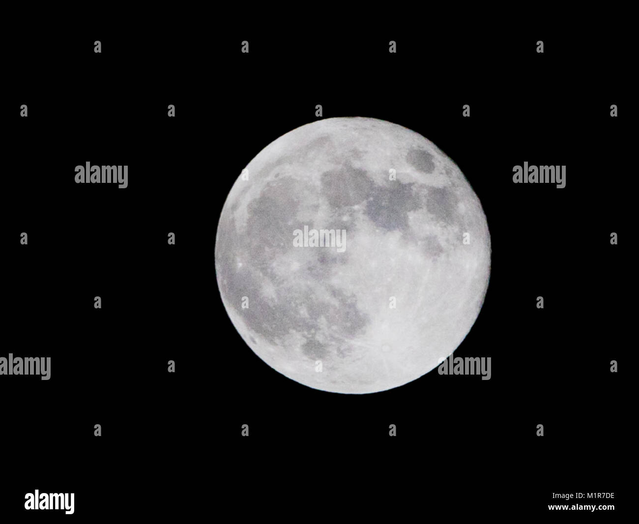 Maidstone Kent. Il 1° febbraio 2018. Una vista della rara "Super sangue Blu Moon" avvistati in Maidstone Kent, Regno Unito. Il 1° febbraio 2018. Credito: glamourstock/Alamy Live News Foto Stock