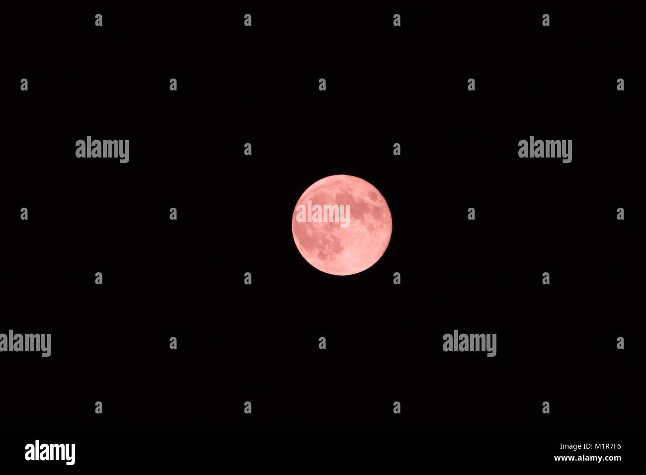 Maidstone Kent. Il 1° febbraio 2018. Una vista della rara "Super sangue Blu Moon" avvistati in Maidstone Kent, Regno Unito. Il 1° febbraio 2018. Credito: glamourstock/Alamy Live News Foto Stock