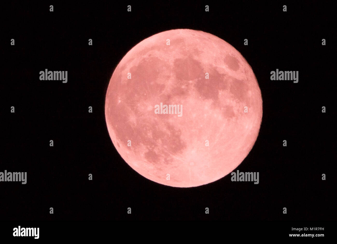 Maidstone Kent. Il 1° febbraio 2018. Una vista della rara "Super sangue Blu Moon" avvistati in Maidstone Kent, Regno Unito. Il 1° febbraio 2018. Credito: glamourstock/Alamy Live News Foto Stock