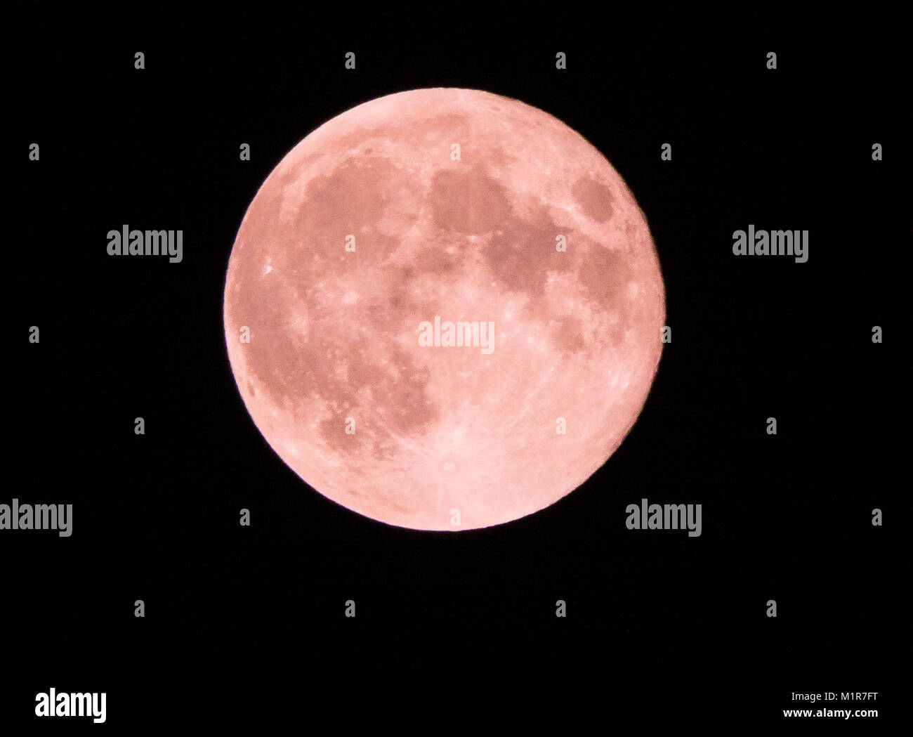Maidstone Kent. Il 1° febbraio 2018. Una vista della rara "Super sangue Blu Moon" avvistati in Maidstone Kent, Regno Unito. Il 1° febbraio 2018. Credito: glamourstock/Alamy Live News Foto Stock