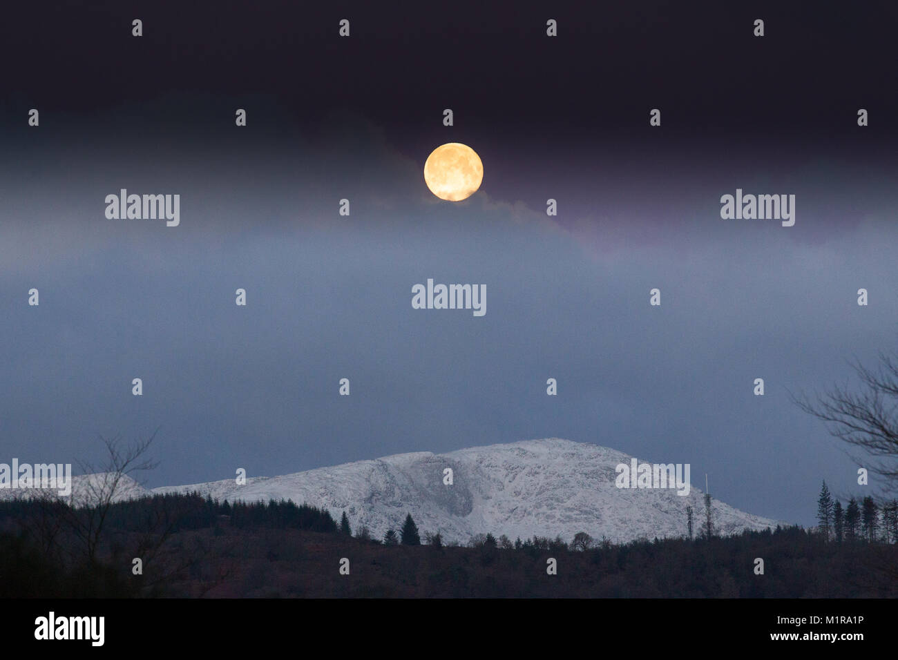 Cumbria Regno Unito 1 febbraio 2018 Cumbria mattina presto Supermoon impostazione sulla coperta di neve sulle alte brughiere Credit:Gordon Shoosmith/Alamy Live News Foto Stock
