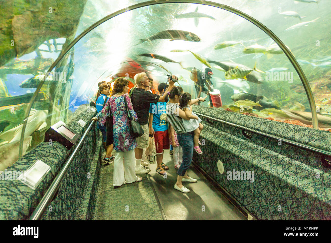 Il mondo sottomarino è stato un oceanarium sull'isola di Singapore di Sentosa. Aperto nel 1991, ha chiuso nel 2016. Esso aveva un 83-metro tapis roulants. Foto Stock