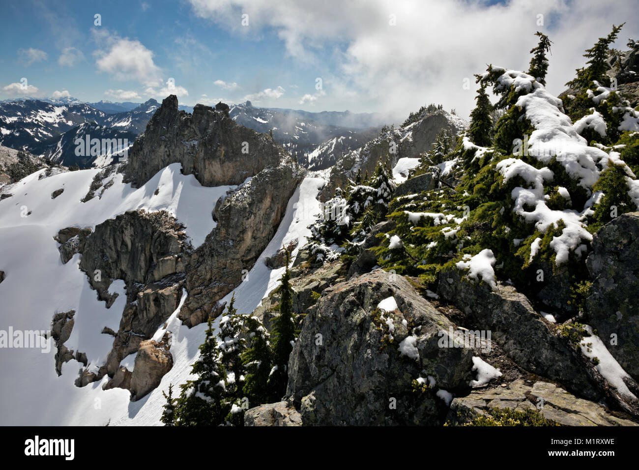 WA13203-00...WASHINGTON - Vertice di Snoqualmie montagne dopo una tarda primavera tempesta di neve nel Mount Baker - Snoqualmie National Forest. Foto Stock