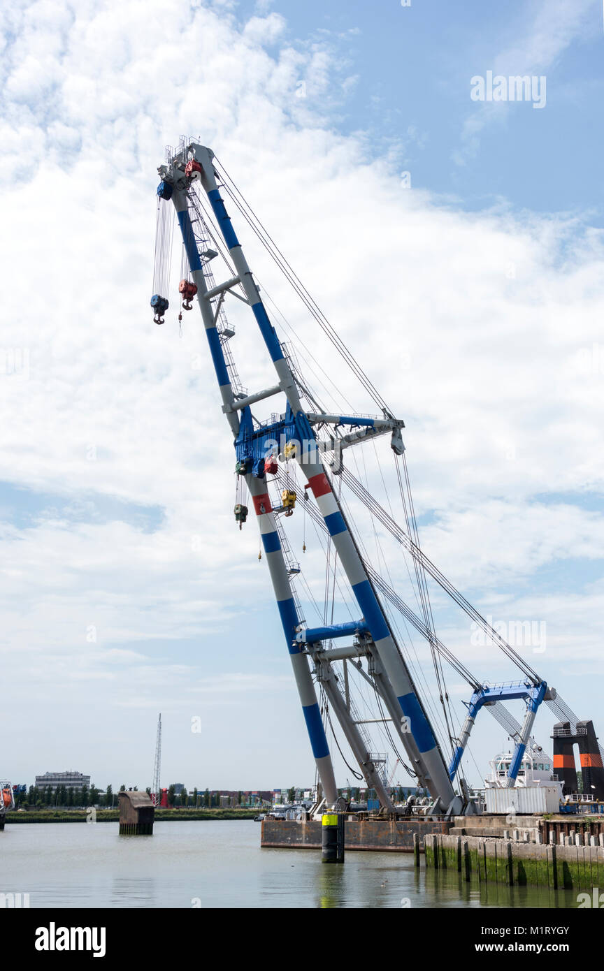 Il contenitore gru a Maasvlakte 2 nel porto di Rotterdam non presidiata e praticamente completamente automatizzato. Robot, Foto Stock