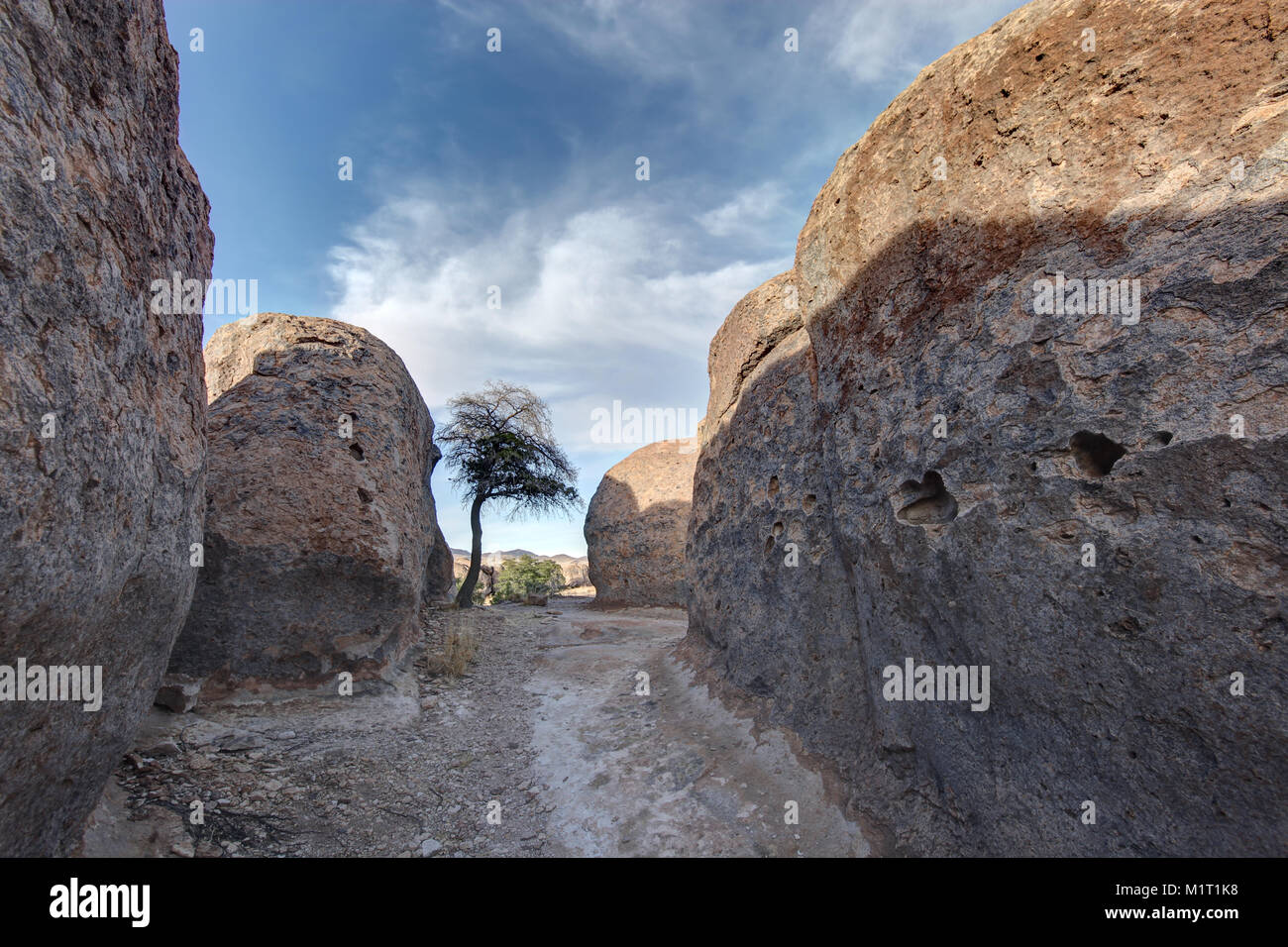 Formazioni geologiche in città di rocce, Nuovo Messico, Stati Uniti d'America. Foto Stock