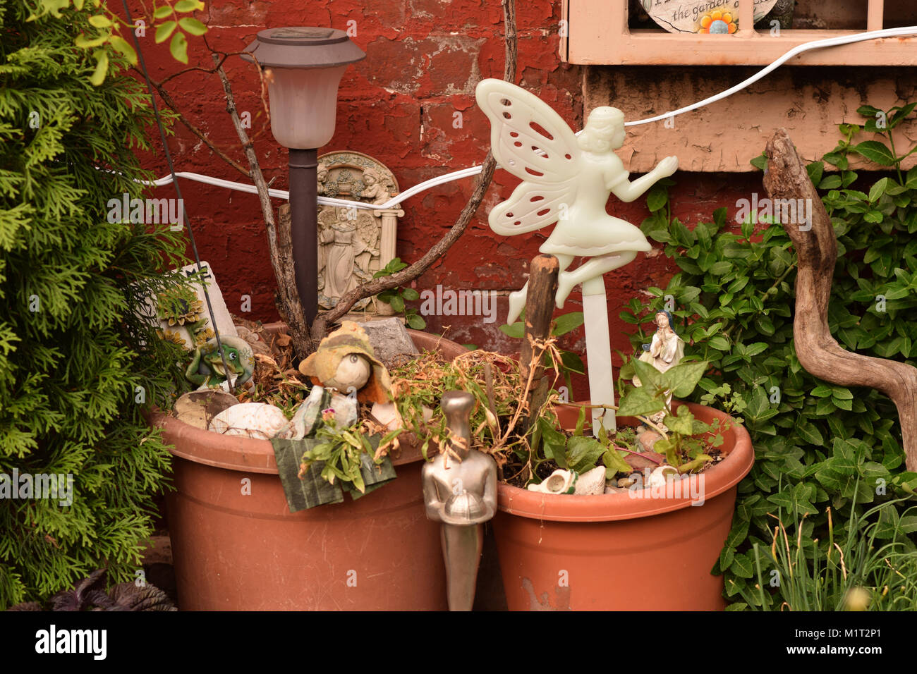 Fata in un vaso di fiori con piante a fianco contro una parete rossa. Foto Stock