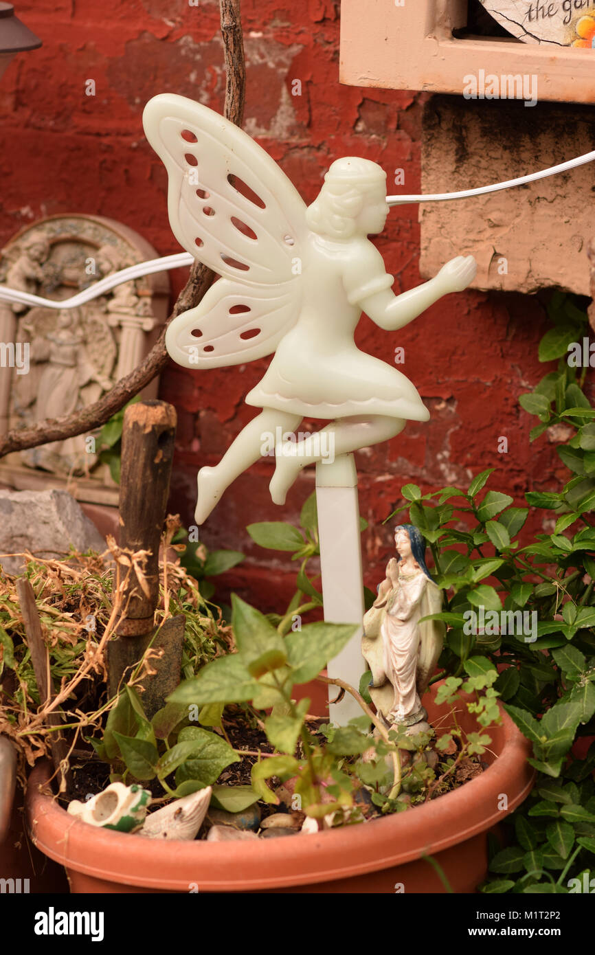 Fata in un vaso di fiori con piante a fianco contro una parete rossa. Foto Stock