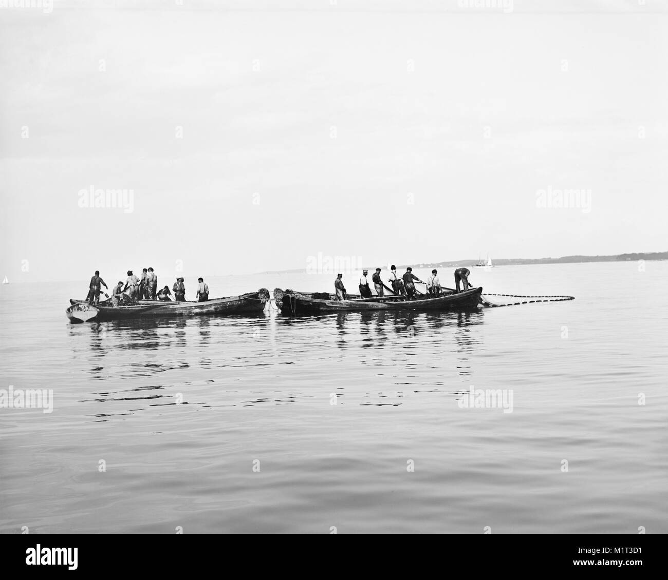 I pescatori in barche tirando in reti, Detroit Publishing Company, agli inizi del novecento Foto Stock