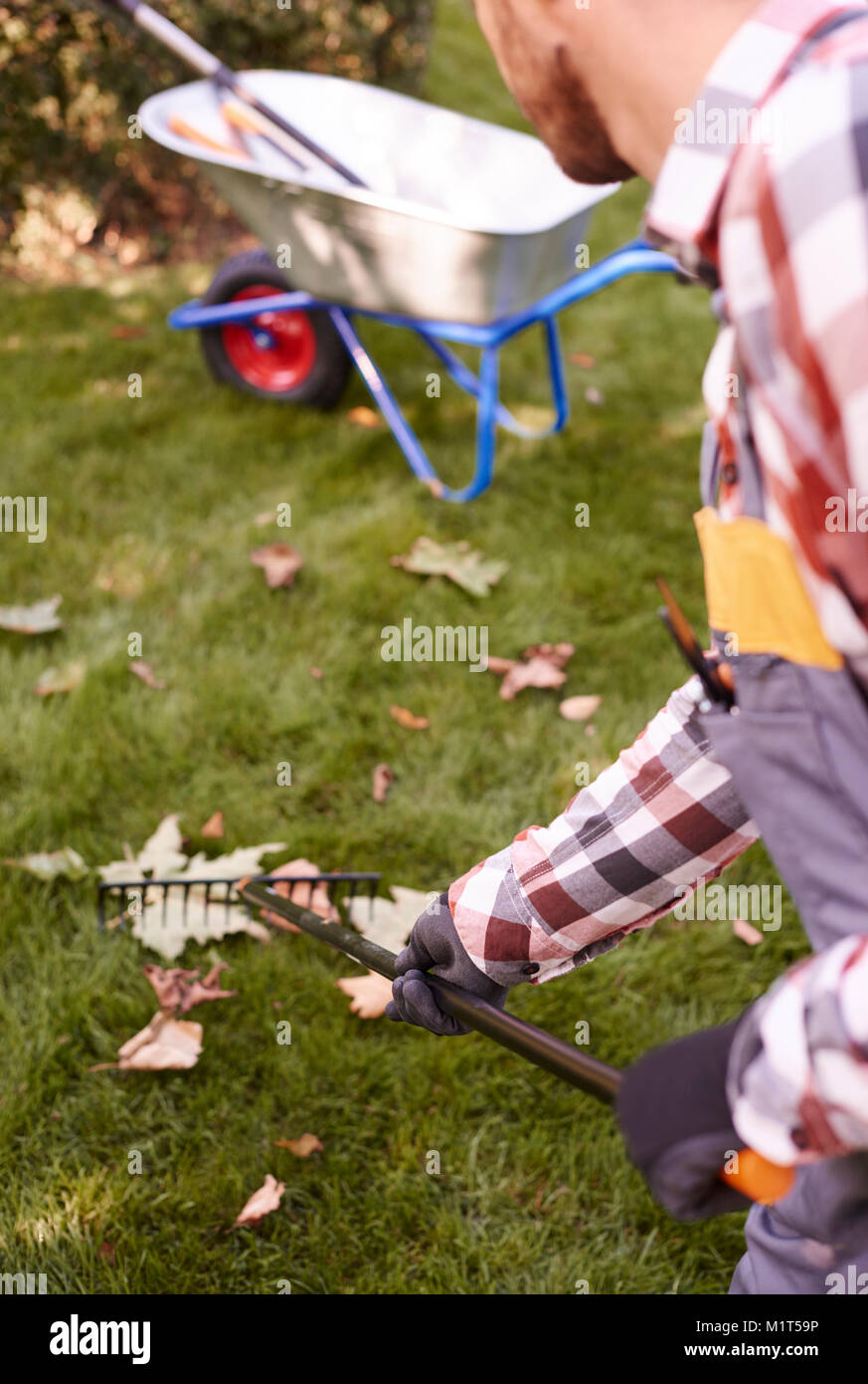 Parte dell'uomo a rastrellare foglie Foto Stock