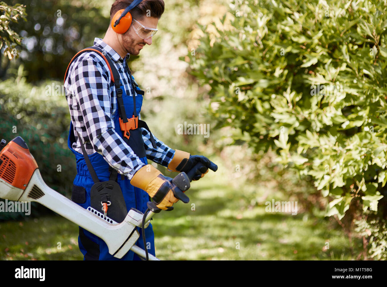 Giardiniere con weedwacker il taglio dell'erba Foto Stock