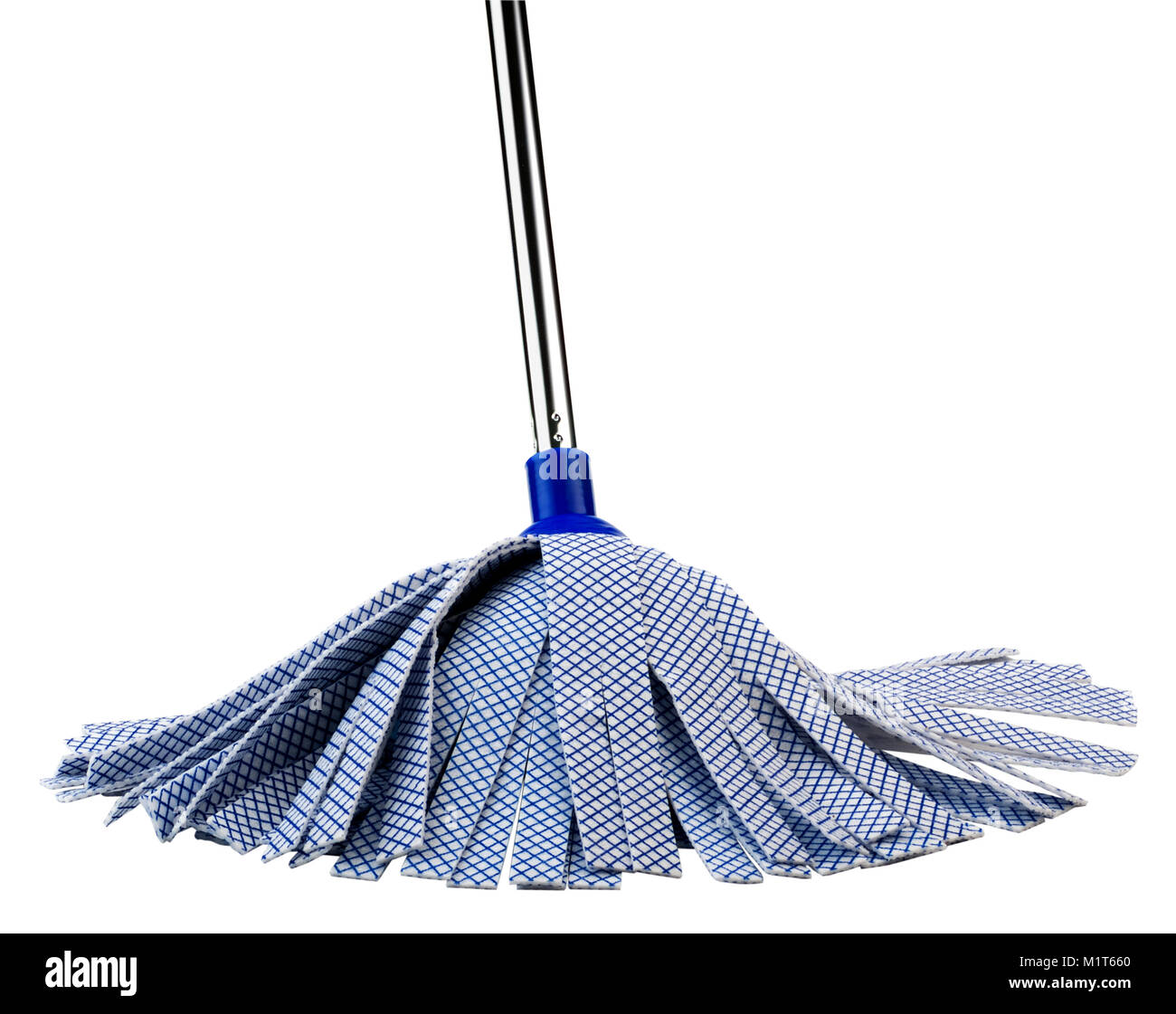 Fibra blu Mop(+percorso di clipping) Foto Stock