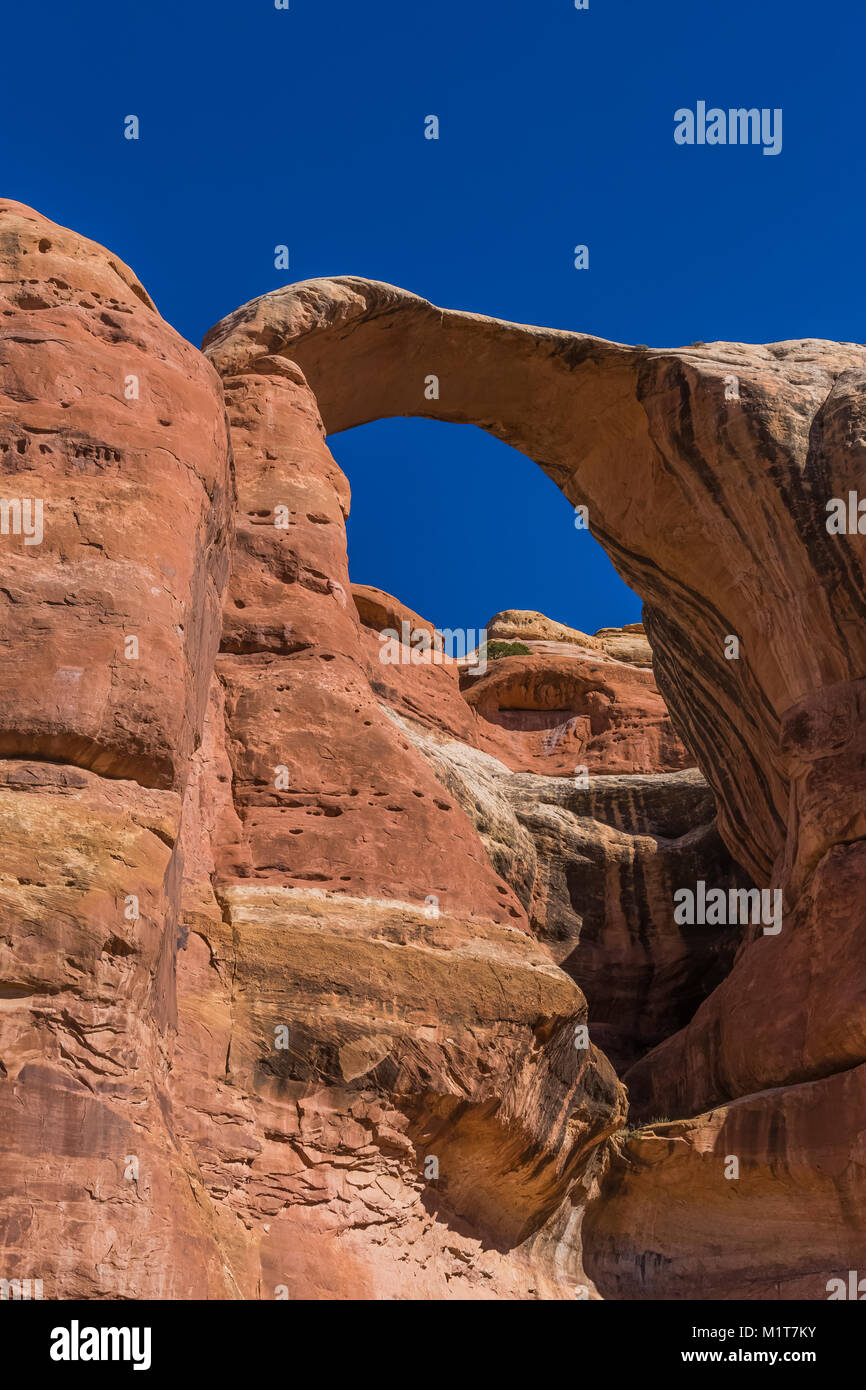 Anello di nozze Arch entro il Salt Creek Canyon nel distretto di aghi del Parco Nazionale di Canyonlands, Utah, Stati Uniti d'America Foto Stock