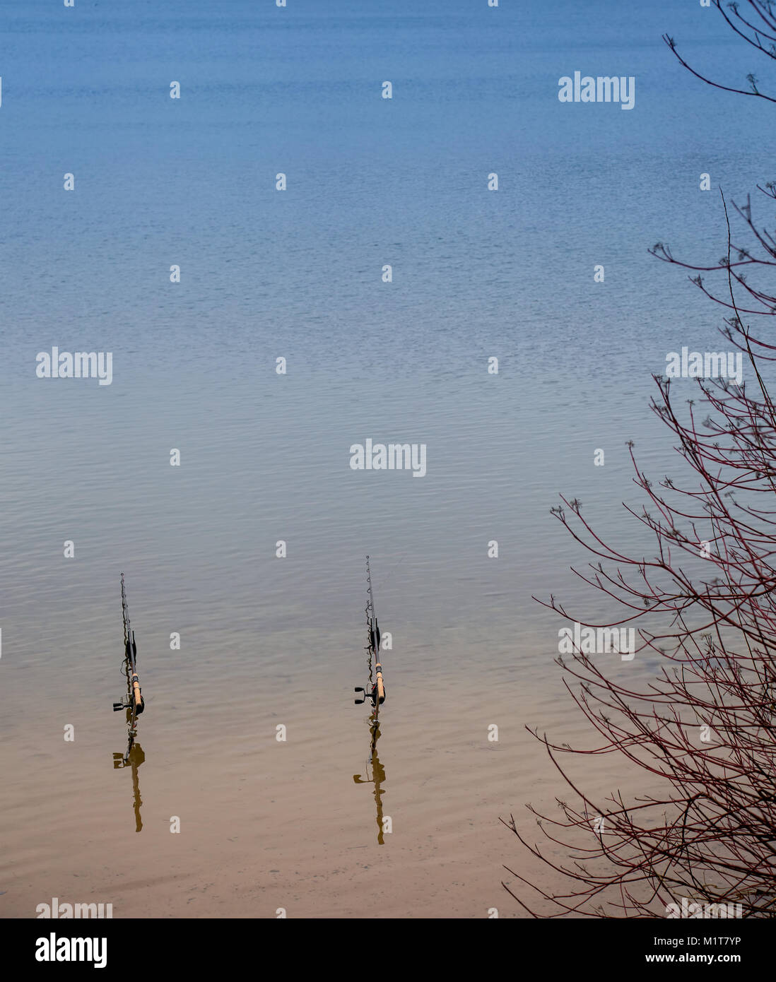 Due canne da pesca a lato di un lago Foto Stock
