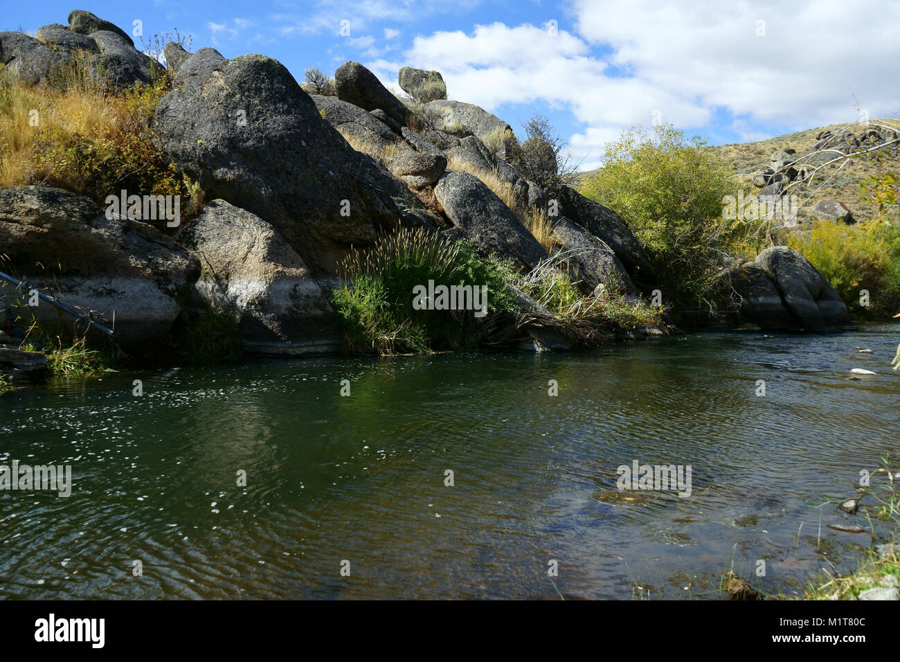 Formazione di roccia in monte punti città di rocce, Owyhee river lungo l'autostrada 225, Nevada Foto Stock