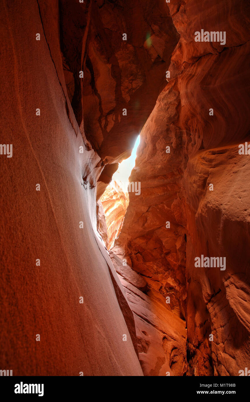 Vista verso l'alto all'interno di un canyon slot nello Utah meridionale Foto Stock