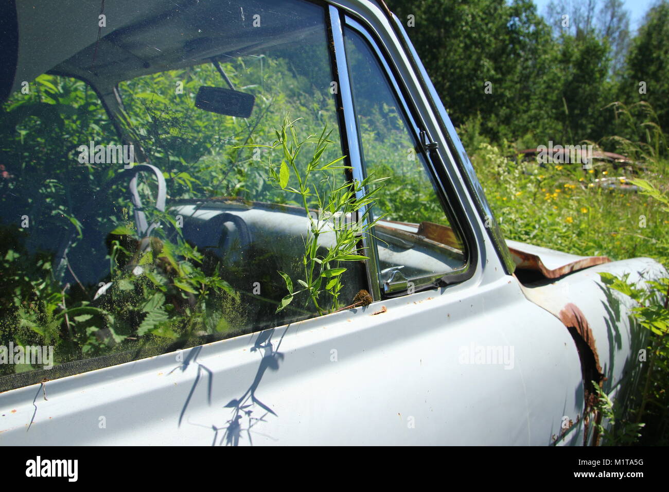 Le auto abbandonate cimitero nascosto nel profondo del bosco svedese. La natura si sta lentamente prendendo il controllo. Foto Stock