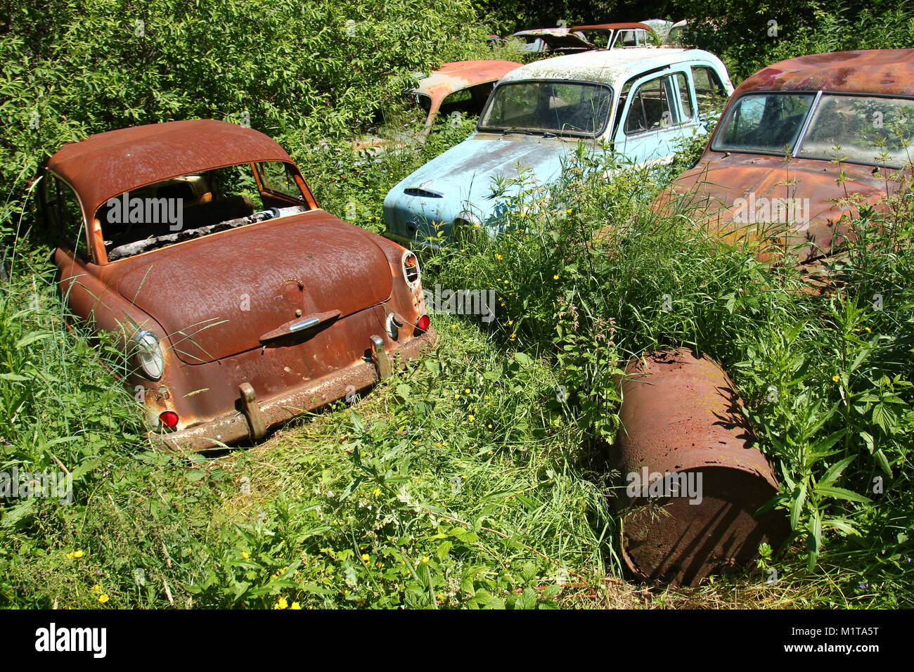 Le auto abbandonate cimitero nascosto nel profondo del bosco svedese. La natura si sta lentamente prendendo il controllo. Foto Stock