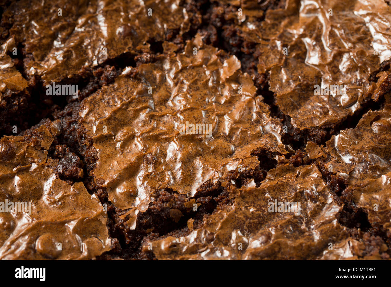 Double Dark Brownie al cioccolato pronto a mangiare Foto Stock