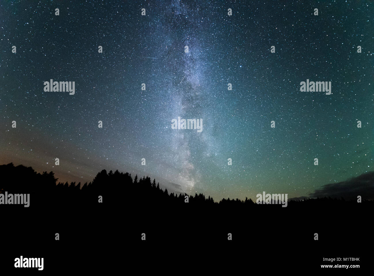 La Via Lattea su una foresta in Finlandia Foto Stock