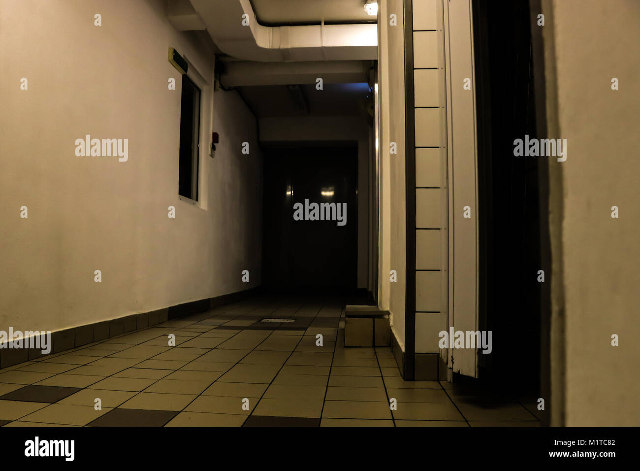 Corridoio buio creepy scena Foto Stock