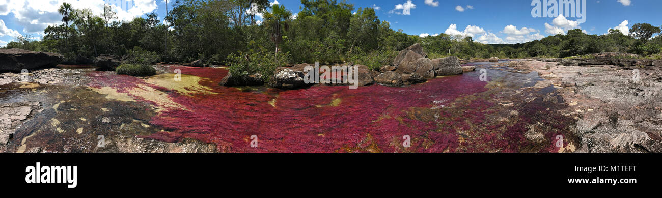 Sierra de la Macarena National Park, Colombia. Foto Stock