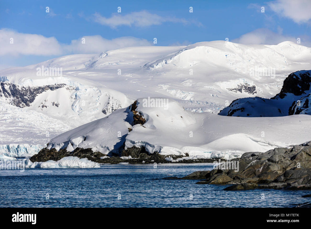 Mare di ghiaccio e neve coperti Antartide paesaggio; Ronge isola; penisola Arctowski Foto Stock