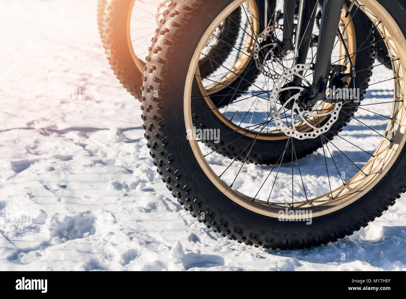 Close up fatbike pneumatico nella neve Foto Stock