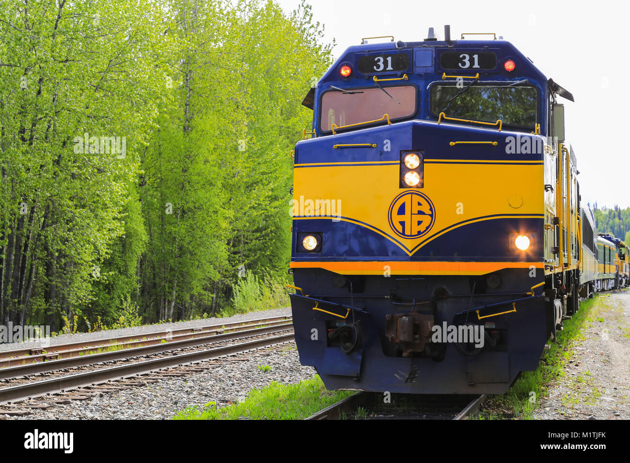 Talkeetna, Alaska, Stati Uniti d'America - 19 Maggio 2017: Un Alaska Railroad Treno in attesa di un'azienda via vicino a Talkeetna Depot. Foto Stock