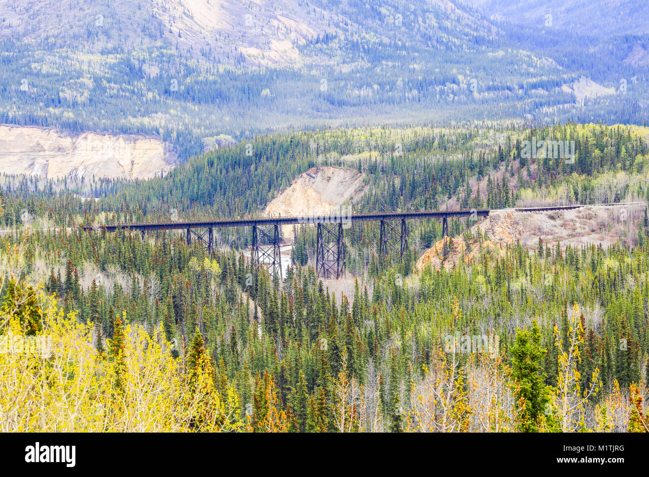 Parco Nazionale di Denali, Alaska, Stati Uniti d'America - 21 Maggio 2017: traliccio ponte Riley Creek nel Parco Nazionale di Denali Foto Stock