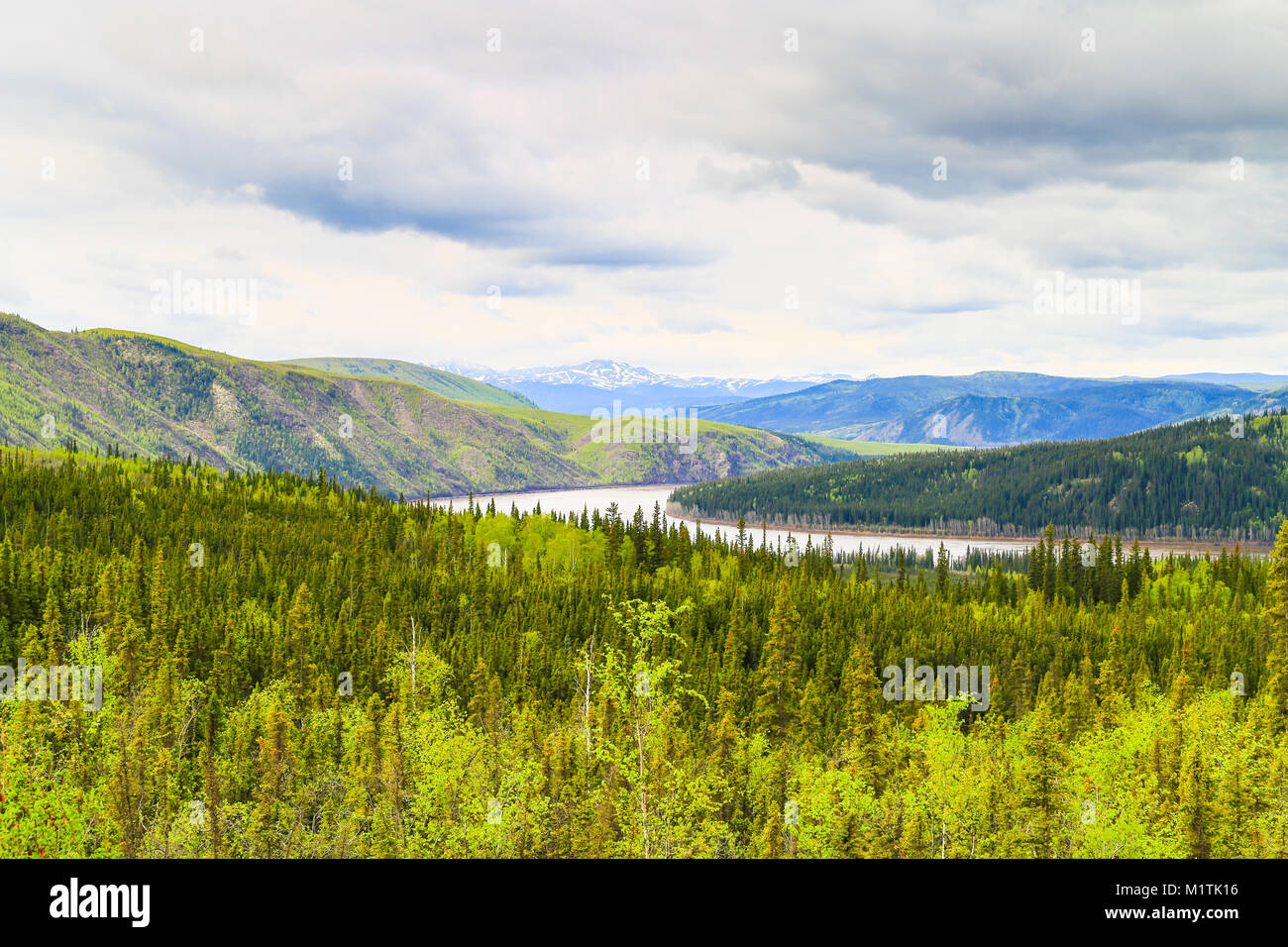 Il fiume di Yukon nel deserto di Alaska, Stati Uniti d'America, vicino al fiume di Yukon Camp Foto Stock