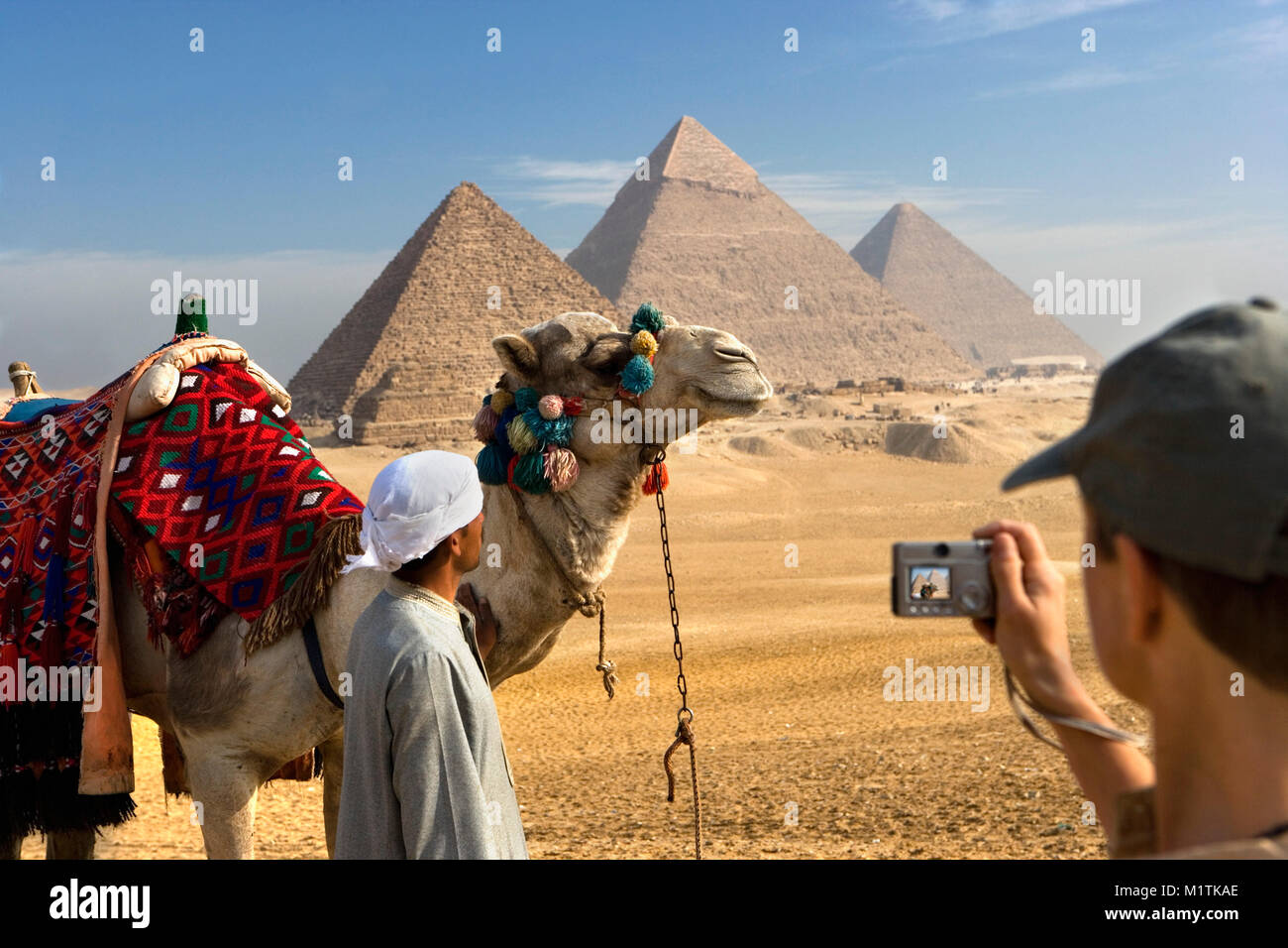 L'Egitto, al Cairo. Piramidi di Giza o Giza. L'uomo, camel driver, cammelli e turistico (donna) nel deserto vicino a piramidi. Unesco World Heritage Site. Foto Stock