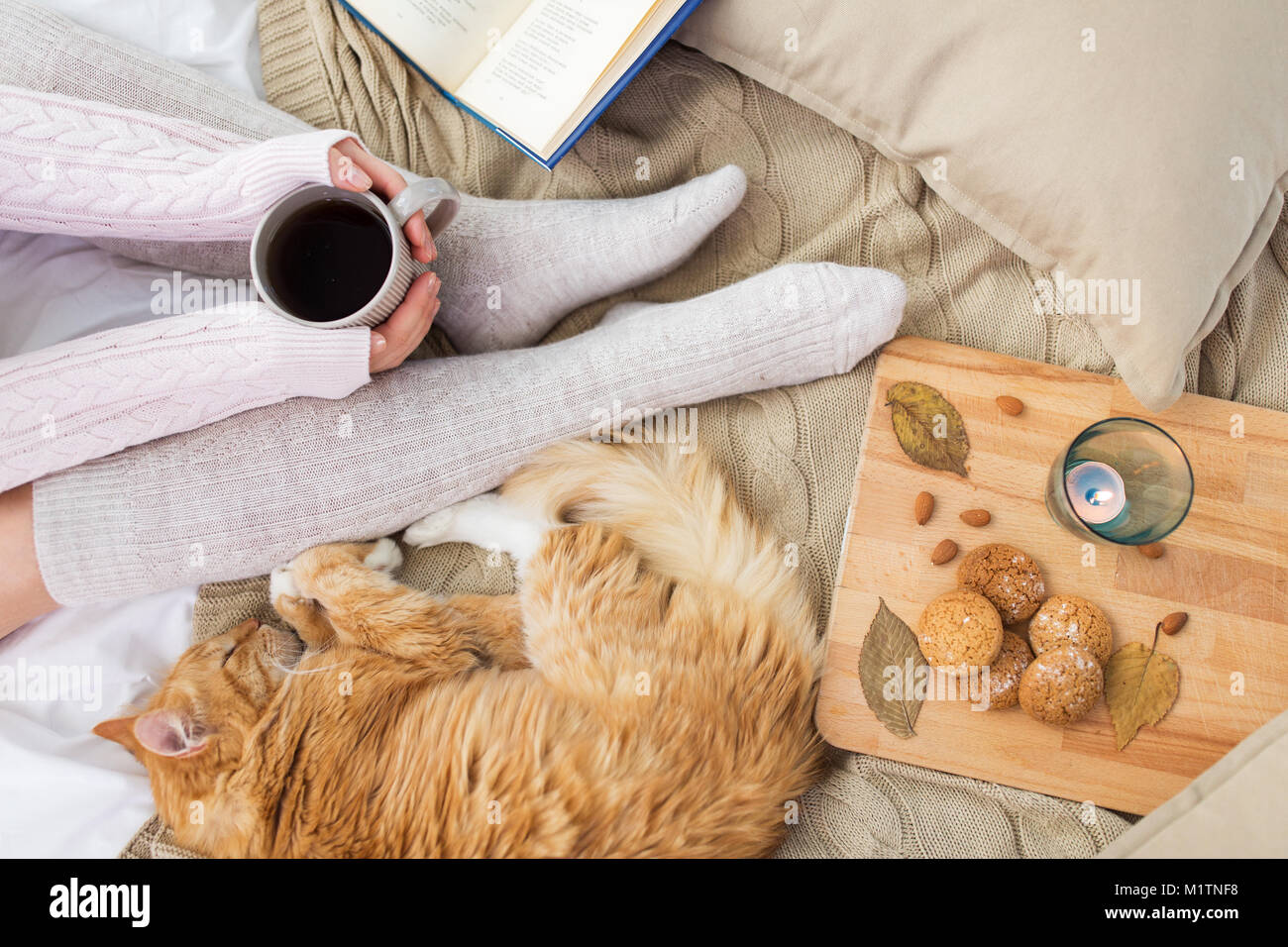 Donna con caffè e rosso gatto dorme nel letto Foto Stock