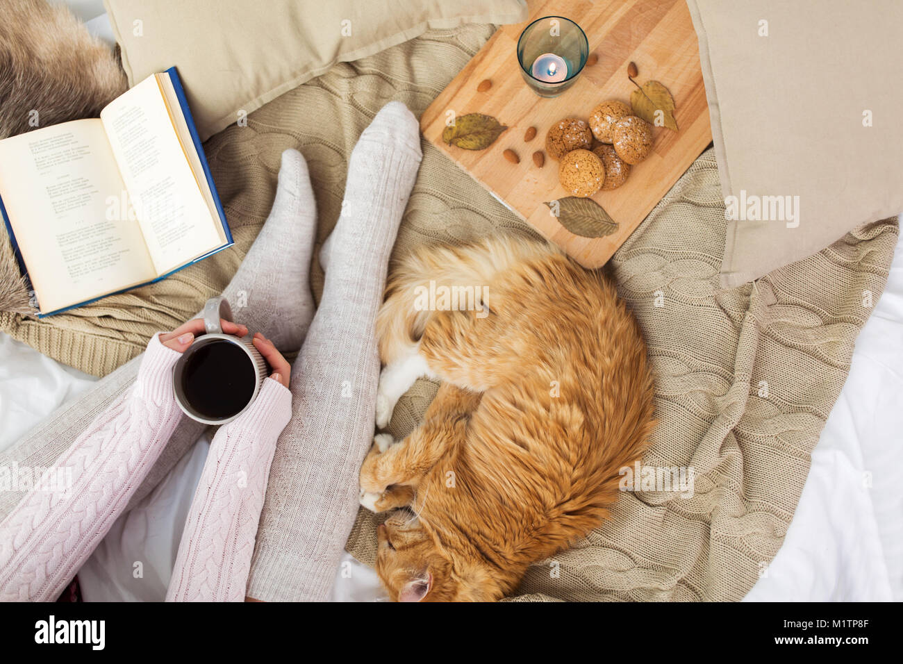 Donna con caffè e rosso gatto dorme nel letto Foto Stock